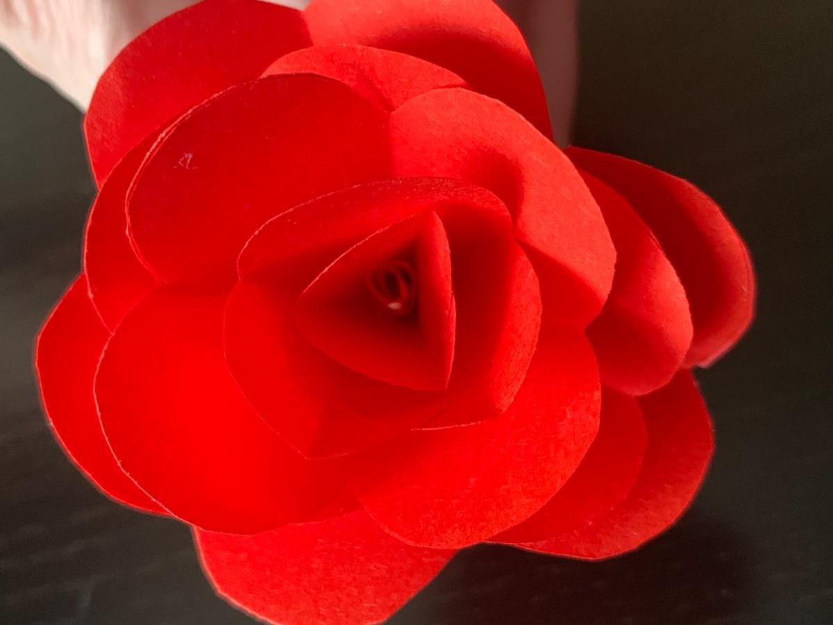 Basteln: Rosen zum&nbsp;Valentinstag