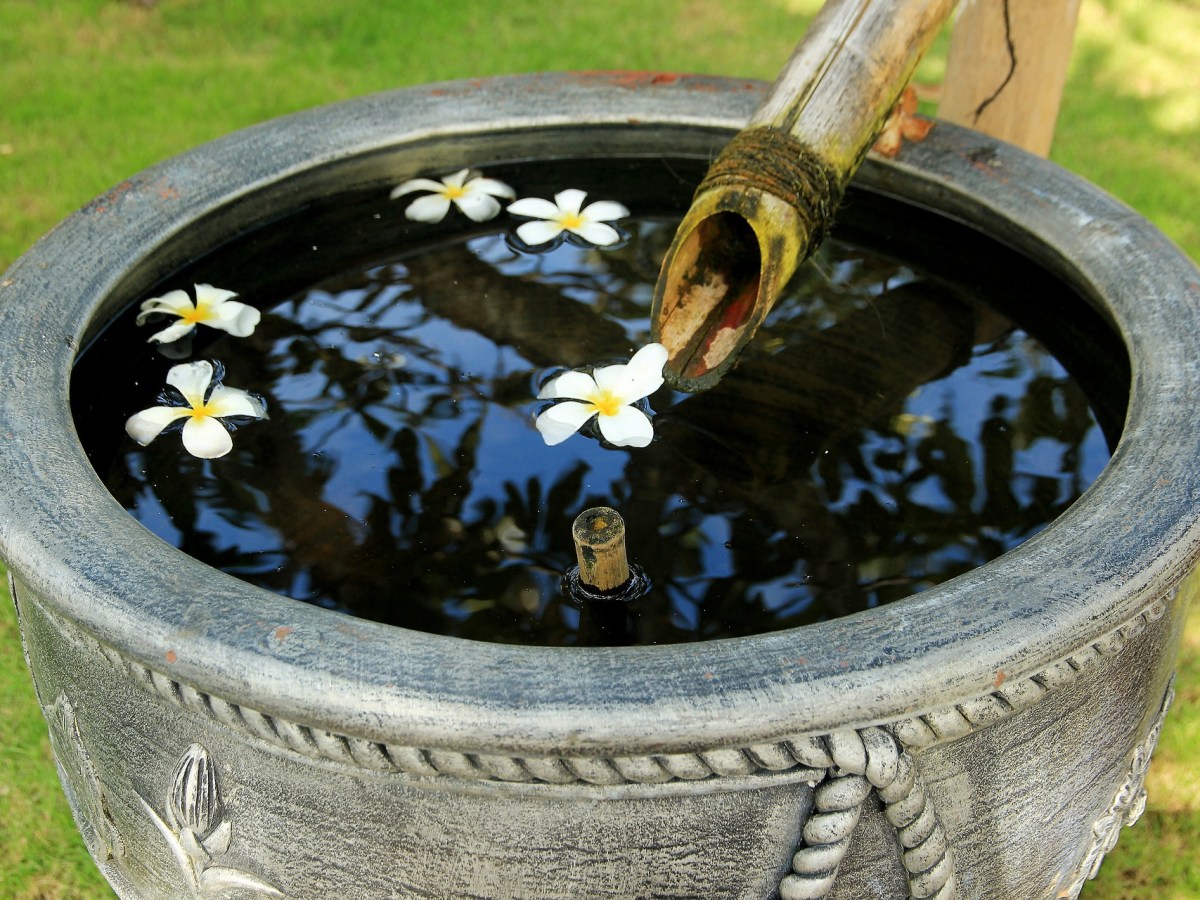 Bernhard von Clairvaux: Sei eine&nbsp;Schale