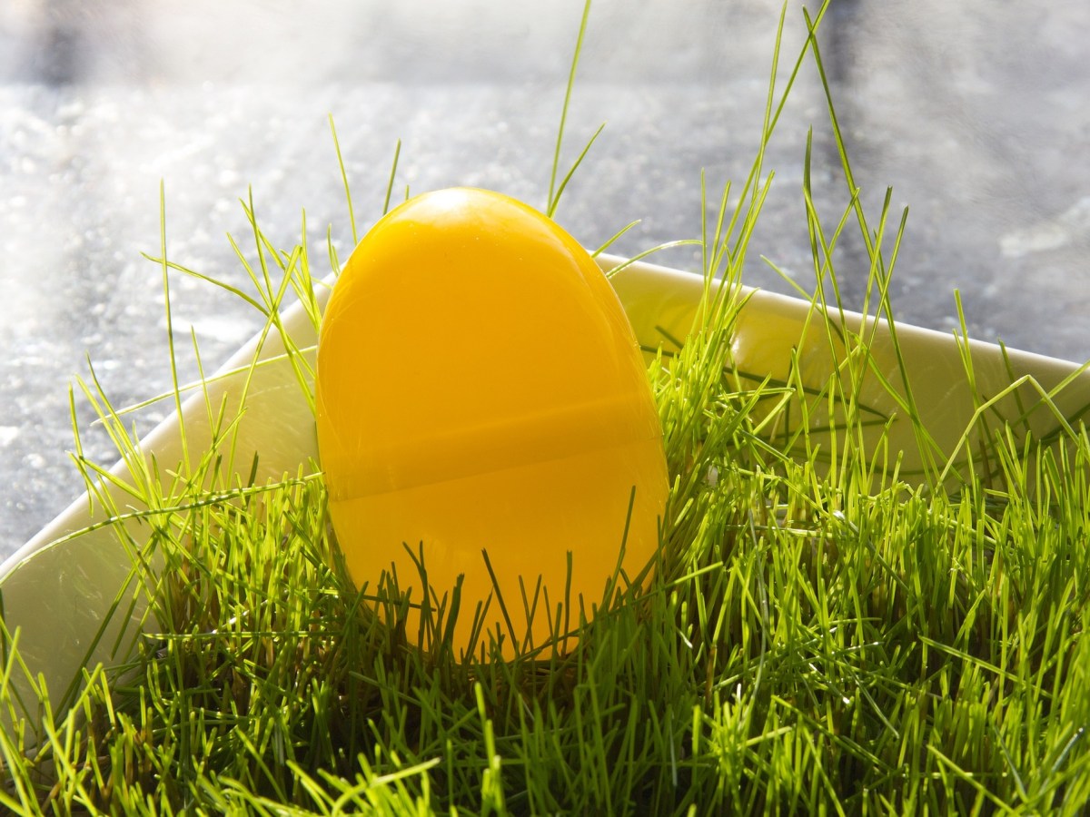 OSTERN – Überraschung&nbsp;:-)